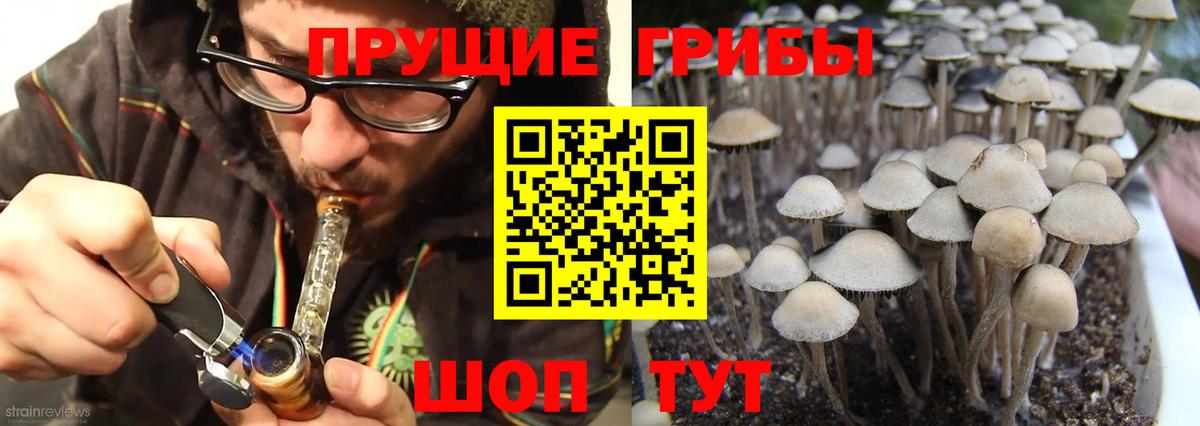 Благовещенск  Галлюциногенные грибы Magic Shrooms  Вход с VPN  Псилоцибиновые грибы мицелий 